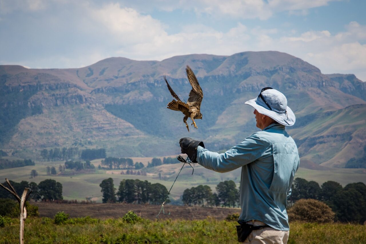 The Way to Become an Ornithologist