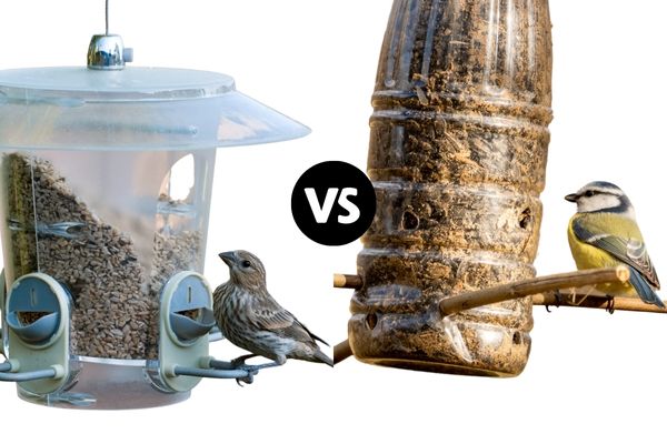 7 Best Bird Feeder Cameras to Bring Nature Into Your Home