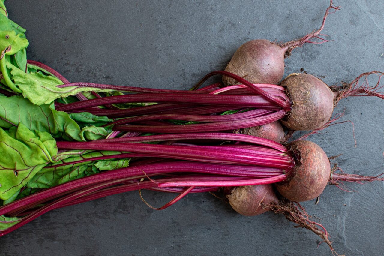 Can Parrots Eat Beets? Can Cockatiels Eat Raw Beets?