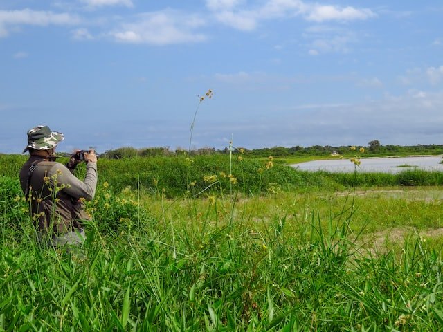 10 of the Best Phone Binoculars to Help You See Far and Wide