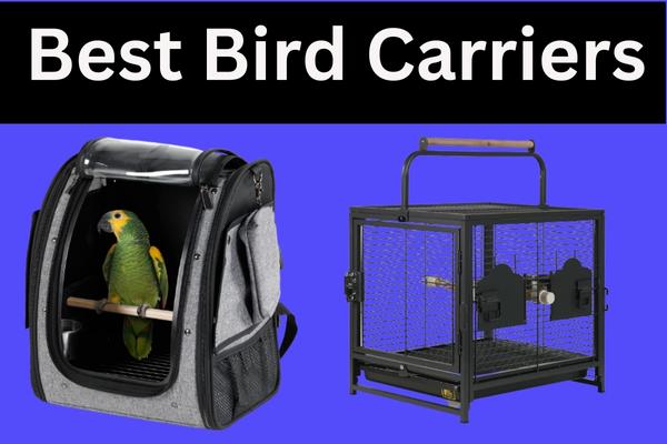 Best Bird Carriers for Safe and Stress-Free Travel