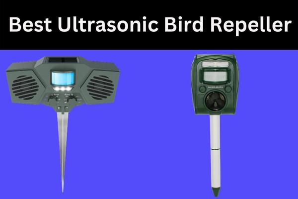 Best Ultrasonic Bird Repeller to Keep Your Property PestFree