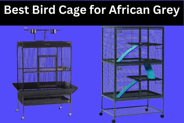 Best Bird Cage for African Grey – The Perfect Bird Cage