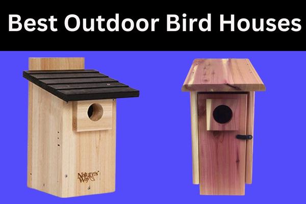 Top 10 Best Outdoor Bird Houses 2023: Buyers Guide