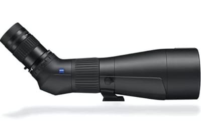 Spotting Scope vs Binoculars: The 6 Best Optics for Birders 2022