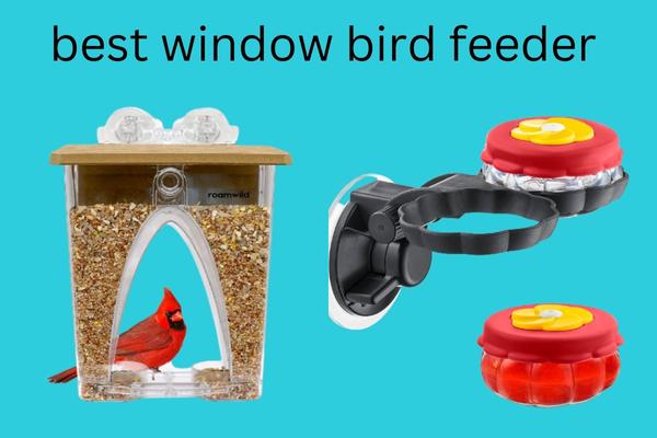 Best Window Bird Feeder 2023: Buyers Guide & Reviews