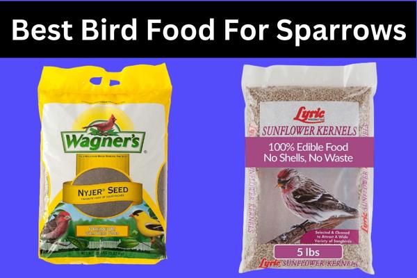 Best Bird Food for Sparrows: A Comprehensive Guide