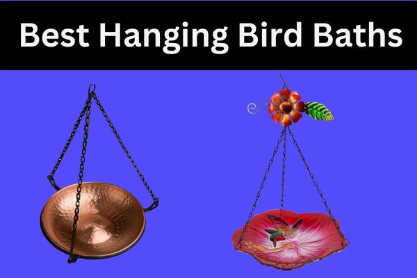 Top 10 Best Hanging Bird Baths 2023: Attract Birds to Your Yard