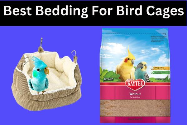 5 Best Bedding for Bird Cages – May 2023